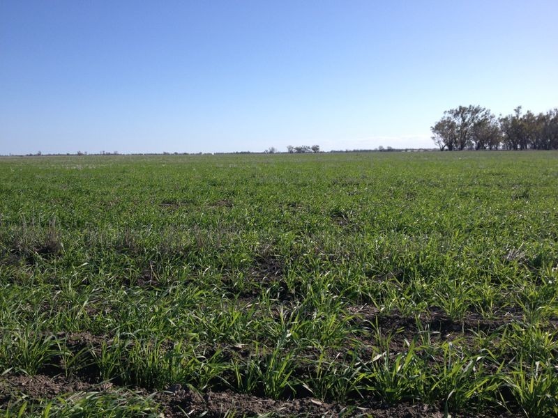 ‘Eulindra’ Watercourse Road, Moree NSW 2400