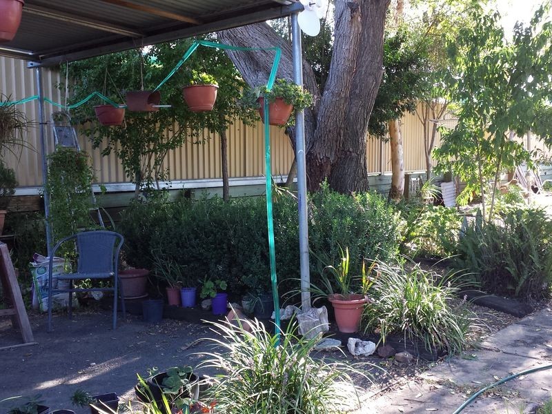 6 Chester Street, Moree NSW 2400