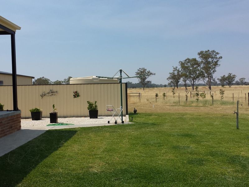 ‘Goats Run Gwydir Highway, Moree NSW 2400