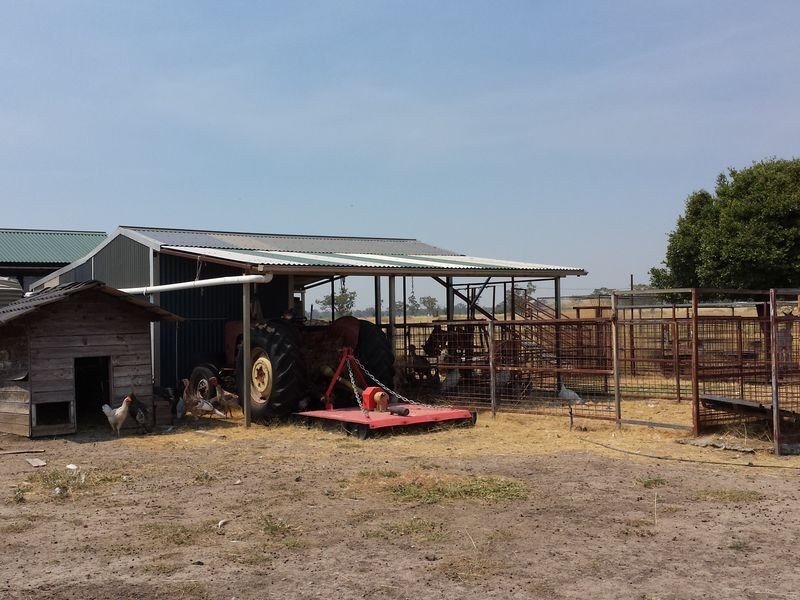 ‘Goats Run Gwydir Highway, Moree NSW 2400
