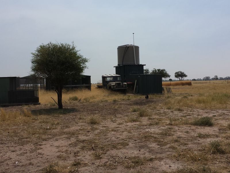 ‘Goats Run Gwydir Highway, Moree NSW 2400