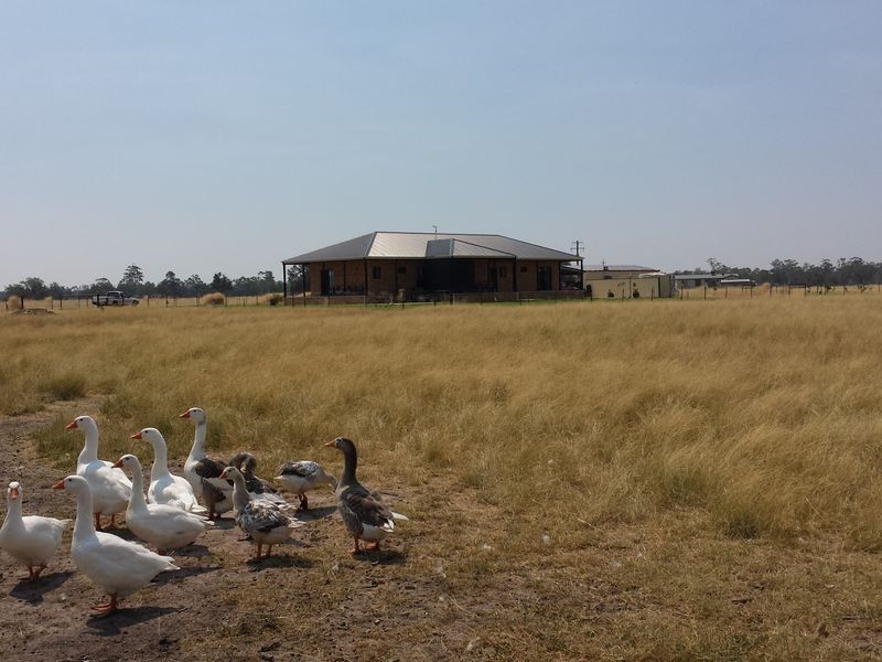 ‘Goats Run Gwydir Highway, Moree NSW 2400