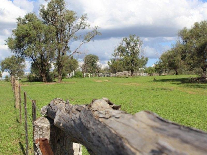 ‘Fairview’, North Star NSW 2408