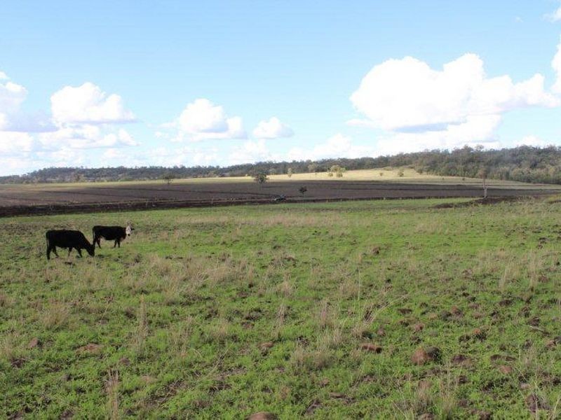 ‘Fairview’, North Star NSW 2408