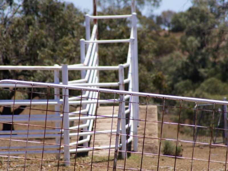 ‘Fairview’, North Star NSW 2408