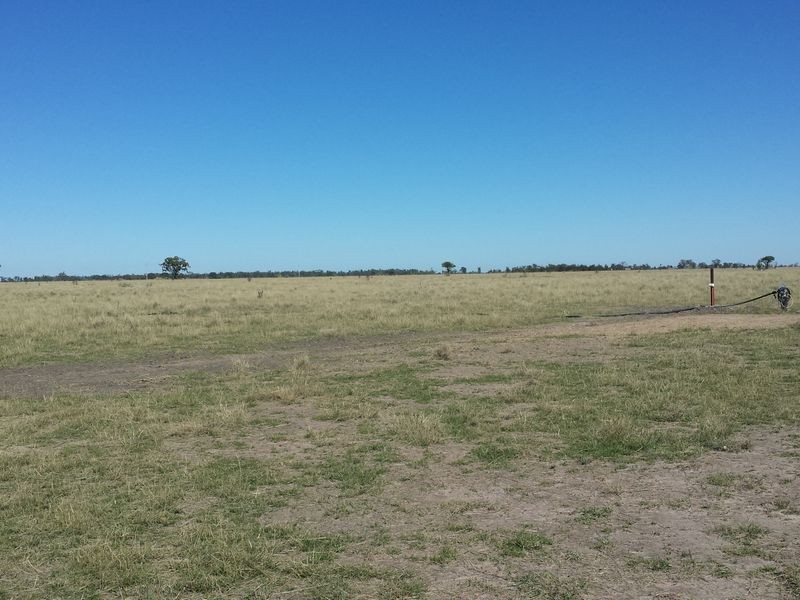 ‘Goats Run Gwydir Highway, Moree NSW 2400