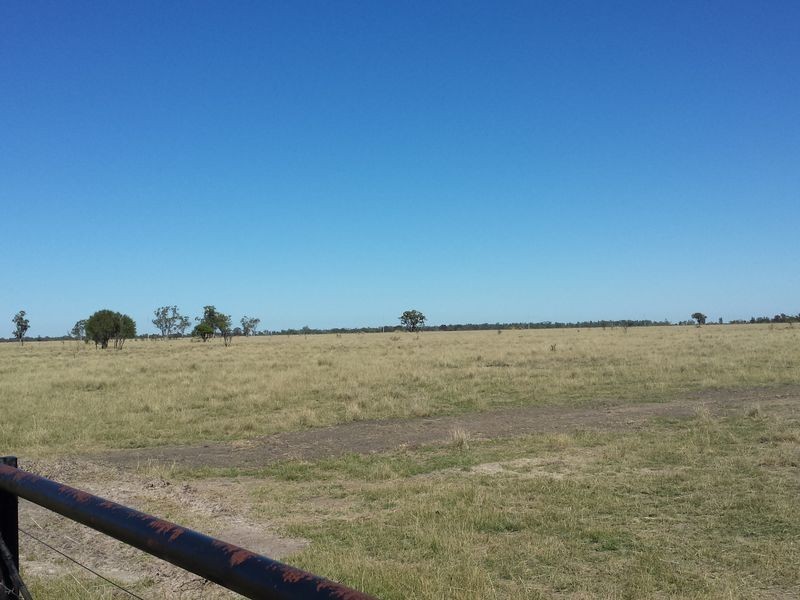‘Goats Run Gwydir Highway, Moree NSW 2400