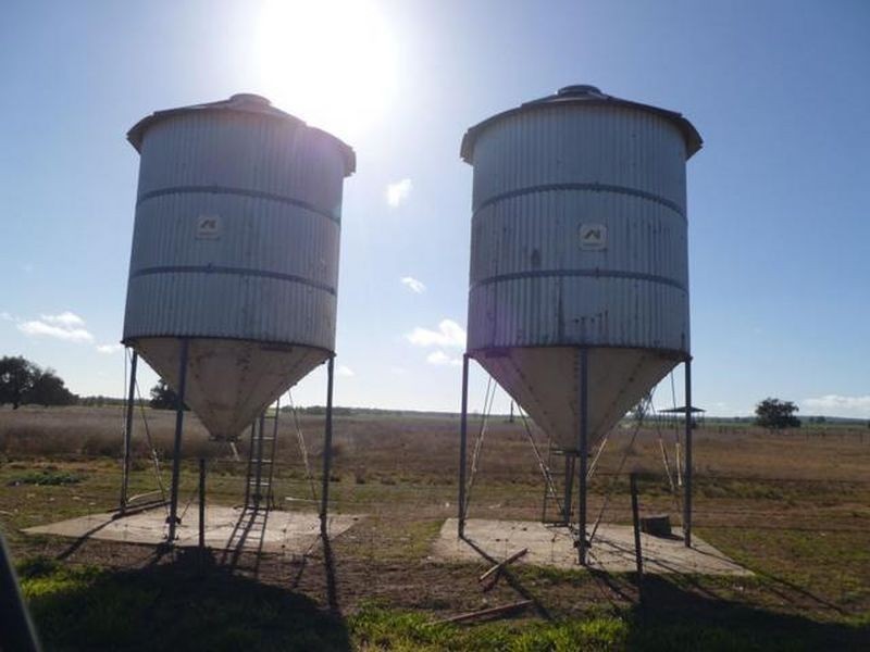 ‘Wilga Park’, Pallamallawa NSW 2399