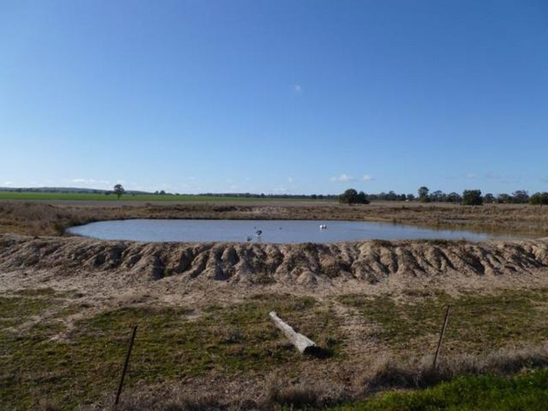 ‘Wilga Park’, Pallamallawa NSW 2399