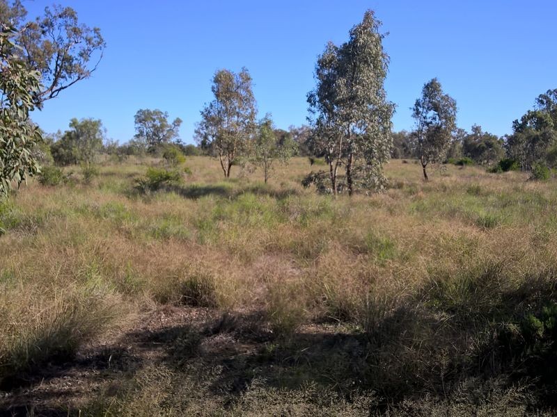 Lot 6 Sunlong Road, Moree NSW 2400