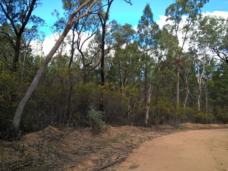Lot 3 Melrose Estate, Warialda NSW 2402