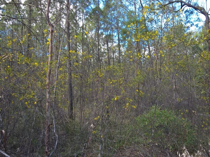 Lot 3 Melrose Estate, Warialda NSW 2402