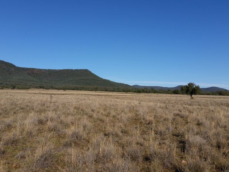 ‘Dalesford Killarney Gap Road, Narrabri NSW 2390