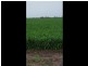 0 ‘Barney’s Block’, Thallon QLD 4497