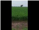 0 ‘Barney’s Block’, Thallon QLD 4497