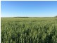 0 ‘West Ginibri’, Thallon QLD 4497