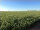 0 ‘West Ginibri’, Thallon QLD 4497