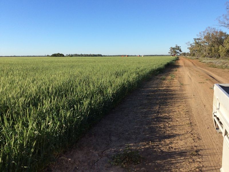 0 ‘West Ginibri’, Thallon QLD 4497