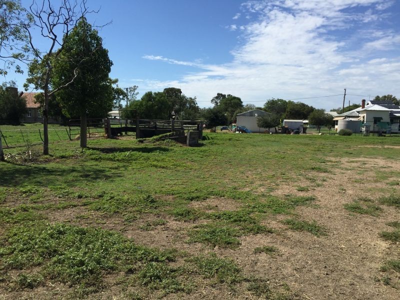 24 Midkin Street, Garah NSW 2405