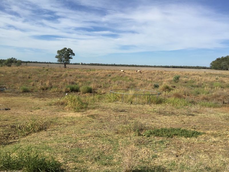 80 Billa Street, Yarraman NSW 2400