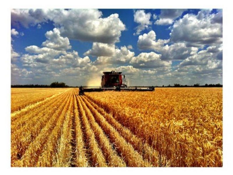 ‘Bullerana’, Moree NSW 2400