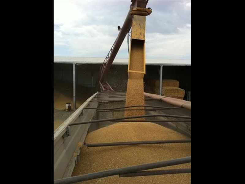 ‘Bullerana’, Moree NSW 2400