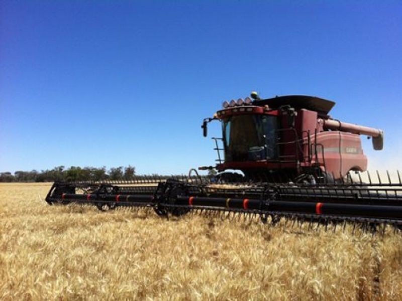 ‘Bullerana’, Moree NSW 2400