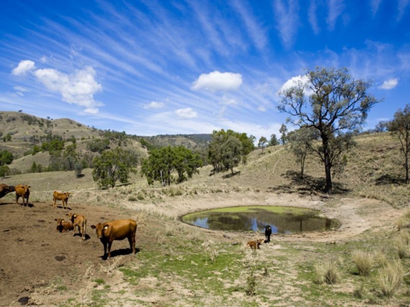 ‘Llangollan’, Back Creek NSW 2422