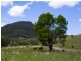 ‘Llangollan’, Back Creek NSW 2422