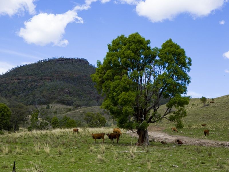 ‘Llangollan’, Back Creek NSW 2422
