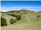 ‘Llangollan’, Back Creek NSW 2422