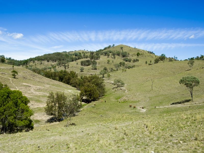 ‘Llangollan’, Back Creek NSW 2422
