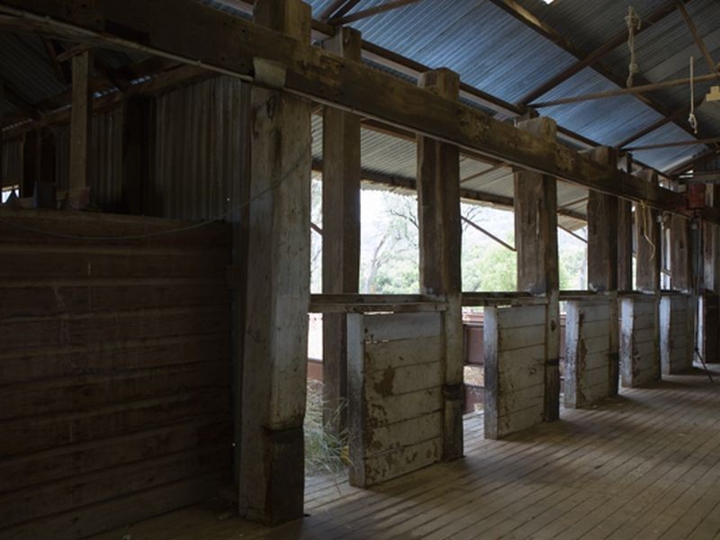 ‘Llangollan’, Back Creek NSW 2422