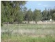 ‘North Bimble’, Pallamallawa NSW 2399