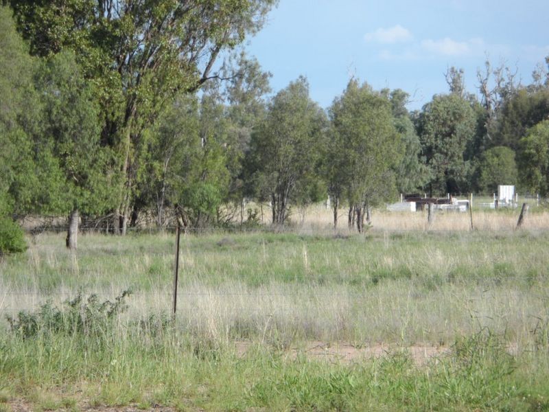 ‘North Bimble’, Pallamallawa NSW 2399