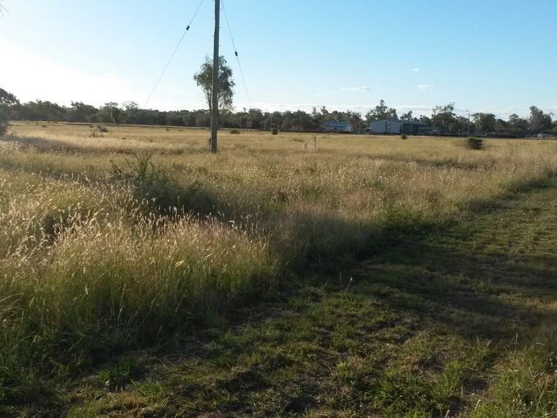 0 Drive Inn Road, Moree NSW 2400