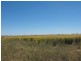 ‘Killarney’, Brewarrina NSW 2839
