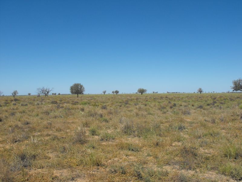 ‘Killarney’, Brewarrina NSW 2839