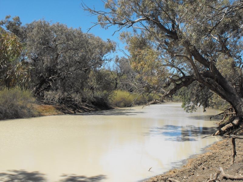 ‘Killarney’, Brewarrina NSW 2839