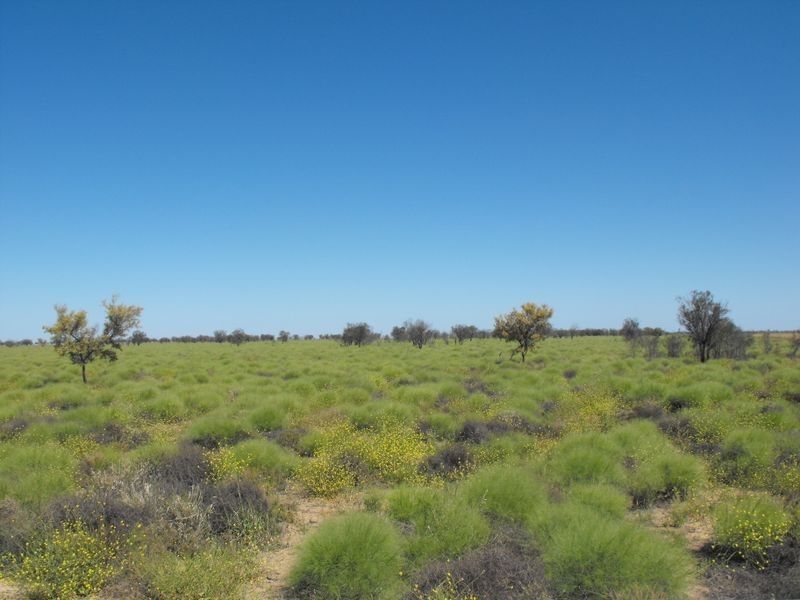 ‘Killarney’, Brewarrina NSW 2839