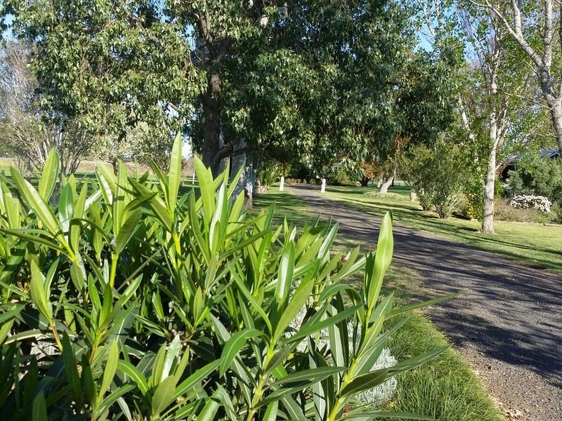 Sharonvale Newell Highway, Moree NSW 2400