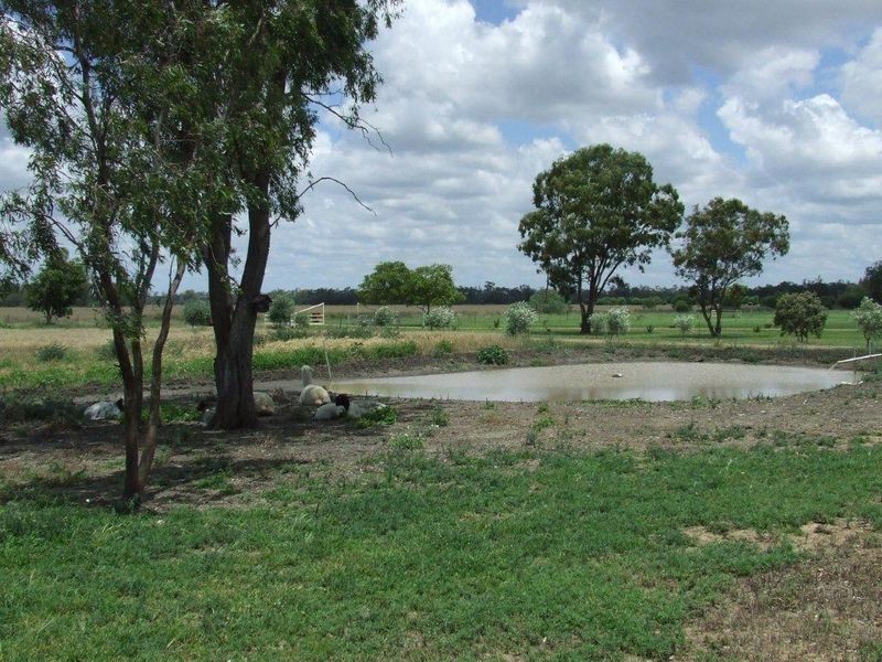 Jecuzi Tarrawingee Road, Moree NSW 2400