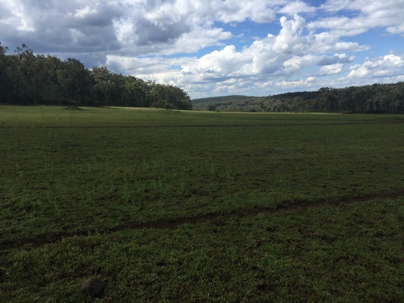 Spooners Gap Road, Berrigal NSW 2390