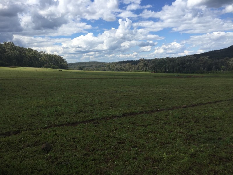 Spooners Gap Road, Berrigal NSW 2390