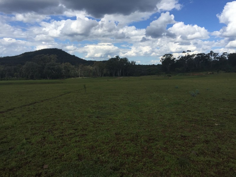 Spooners Gap Road, Berrigal NSW 2390