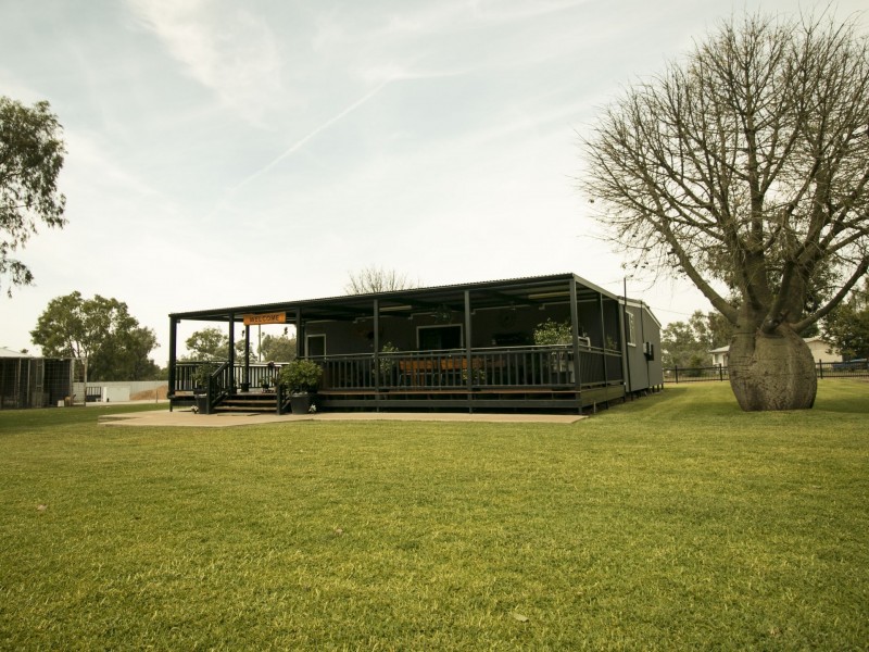 17 Hugh Street, Ashley NSW 2400