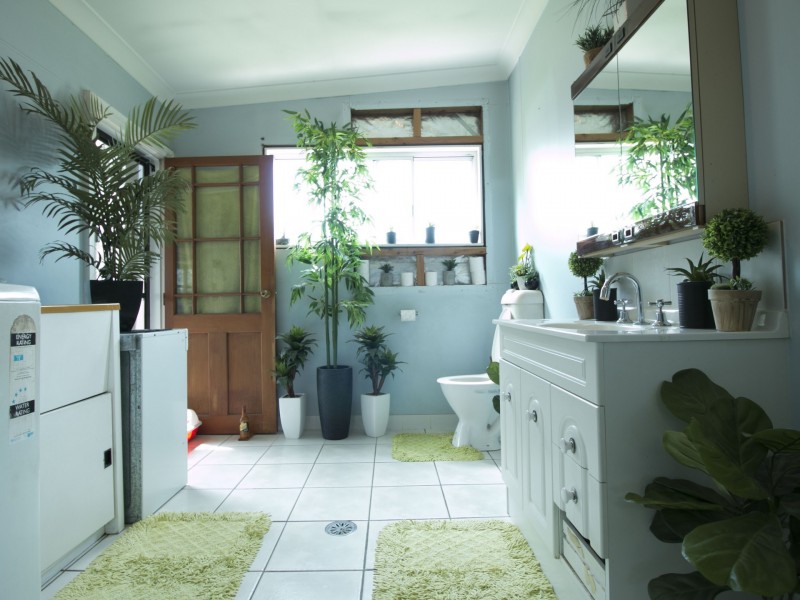 17 Hugh Street, Ashley NSW 2400