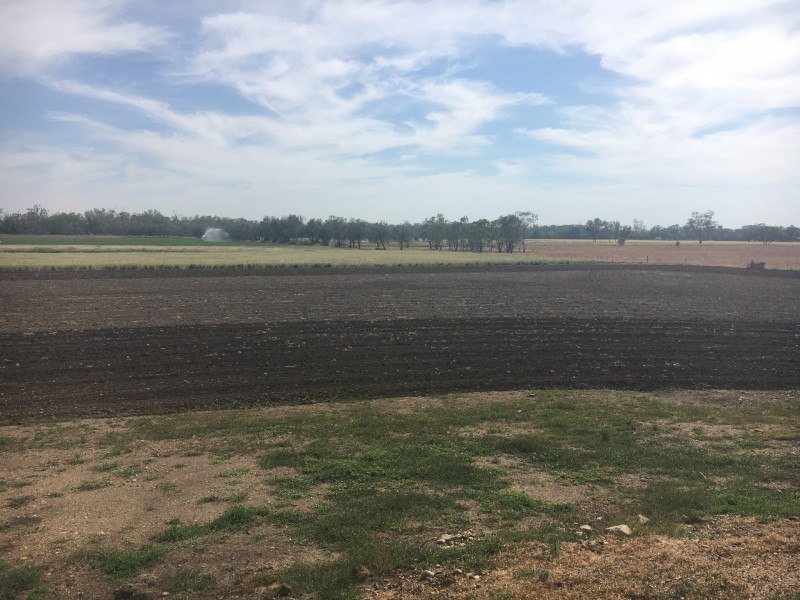 PART ‘THE OAKS’, Moree NSW 2400