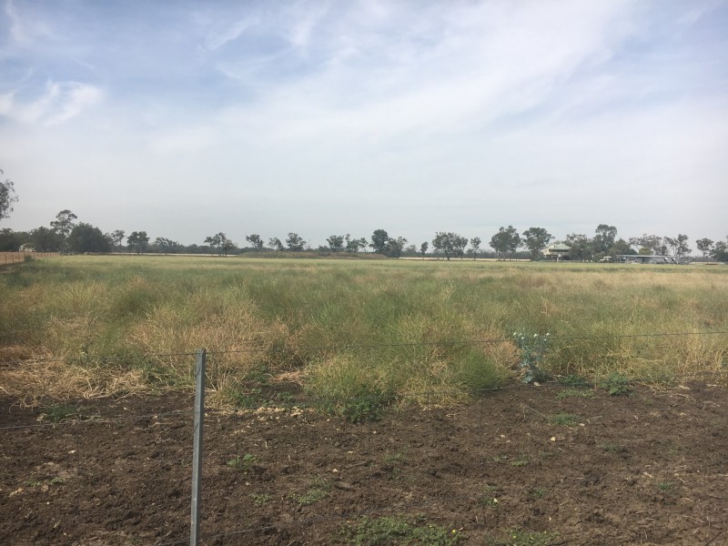 PART ‘THE OAKS’, Moree NSW 2400