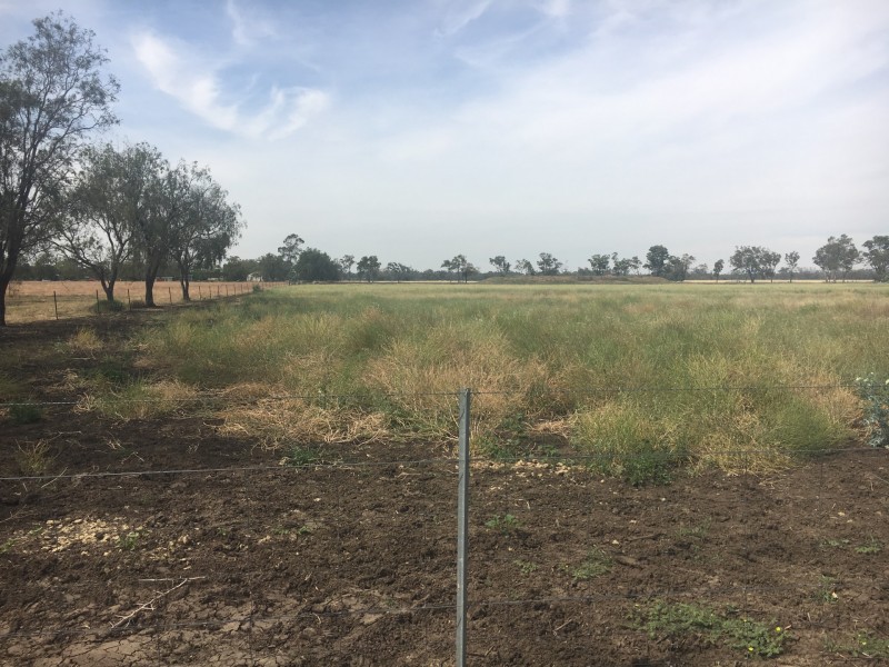 PART ‘THE OAKS’, Moree NSW 2400